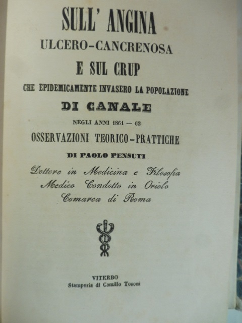 Sull'angina ulcero-cancrenosa e sul crup che epidemicamente invasero la popolazione di Canale negli anni 1861-62. Osservazioni teorico-pratiche